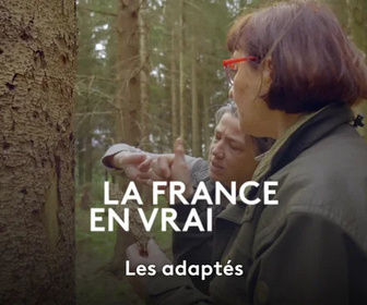 Replay La France en vrai