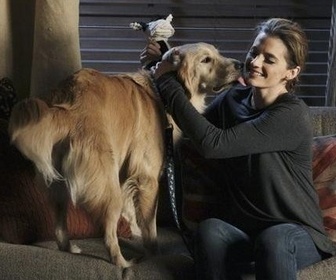 Replay Castle - S4E13 - Une vie de chien