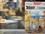 Replay Comment bien traduire un album d'Astérix ? - ARTE Journal Junior de vendredi