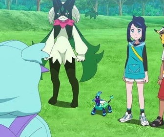 Replay Pokémon : les horizons - Le combat des fans de Nidotruc