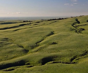 Replay Canada, la force de la nature - 01/12/2025