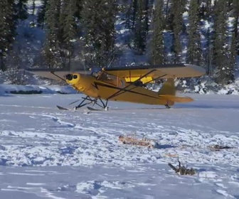 Replay Seuls face à l'Alaska - S6E8 - La meute de loups