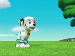 Replay Paw Patrol, la Pat'Patrouille - Des chatons qui sèment la pagaille