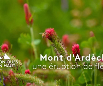 Replay Chroniques d'en Haut