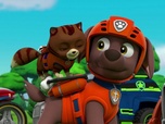 Replay Paw Patrol, la Pat'Patrouille - L'étang aux canards