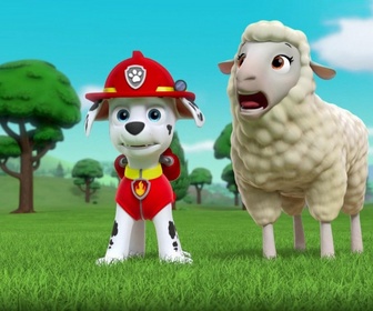 Replay Paw Patrol, la Pat'Patrouille - Les mésanges charbonnières
