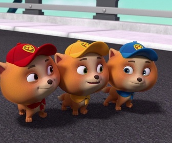 Replay Paw Patrol, la Pat'Patrouille - La Super Patrouille contre le maire de tout l'Univers