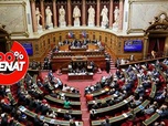 Replay 100% Sénat - Le Sénat durcit l'accès à l'AME et diminue son budget