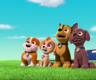 Replay Paw Patrol, la Pat'Patrouille - Marcus, seul dans la tour de contrôle