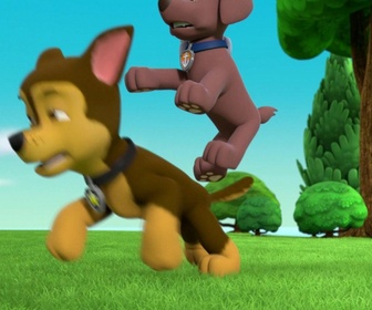 Replay Paw Patrol, la Pat'Patrouille - Le Ruben-O-Saurus - 26'