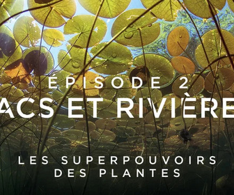 Les superpouvoirs des plantes replay