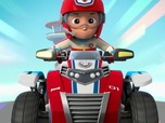 Replay Paw Patrol, la Pat'Patrouille - La grande roue