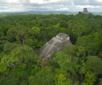 Replay Le mystère des Mayas : des origines à la chute - S1E3 - Les cités mayas abandonnées