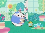 Replay Molang - La plante