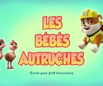 Replay Paw Patrol, la Pat'Patrouille - Les bébés autruches