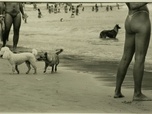 Replay ARTE Journal - Photo : une rétrospective Elliott Erwitt
