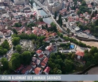 Replay Le 1245 du 08/10/2026