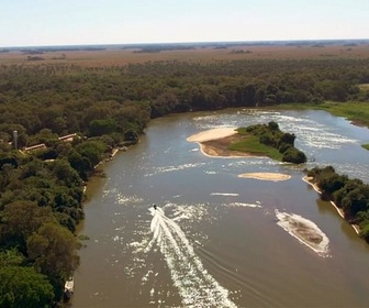 Replay Le Pantanal, un territoire préservé - Brésil, sur la piste des jaguars