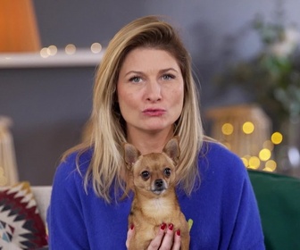 Replay Animaux à adopter - Oscar et Buddha