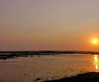 Replay Afrique du Sud, paradis océanique - Le retour des géantes des mers