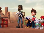 Replay Paw Patrol, la Pat'Patrouille - Le bébé fourmilier