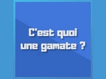 Replay Parlez-vous le sud ? - Que veut dire une gamate ?