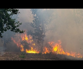 Replay Incendie aux portes de Bordeaux : sept communes évacuées, 1 500 militaires mobilisés
