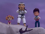Replay Paw Patrol, la Pat'Patrouille - Maître Yumi