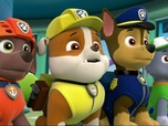 Replay Paw Patrol, la Pat'Patrouille - Le concours de beauté