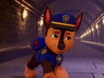 Replay S00 E56 - Compilation Paw Patrol, la Pat'Patrouille 56