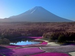 Replay À regarder en famille - Japon, les racines du soleil