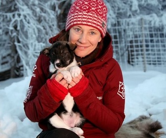 Replay Huskies, top départ ! - GEO Reportage