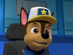 Replay Paw Patrol, la Pat'Patrouille - Mission camion : Le chalet snowboarder