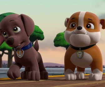 Replay Paw Patrol, la Pat'Patrouille - Mission Chevaliers : La fumée enchantée