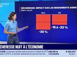 Replay Good Morning Business - La sécheresse nuit à l'économie