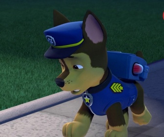 Replay Paw Patrol, la Pat'Patrouille - La Super Patrouille