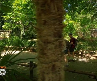 Replay Une saison au zoo - S12 E25