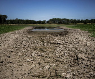 Replay Élément Terre - Un été anormalement chaud s'abat sur l'Europe