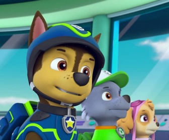 Replay Paw Patrol, la Pat'Patrouille - à la poursuite des tortues