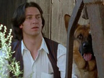 Replay Rex, chien flic - La mort est au bout de la route