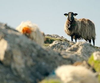 Replay Perpétuer l'héritage des montagnes - Les promesses de la terre