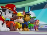 Replay Paw Patrol, la Pat'Patrouille - Danny X le Hardi !