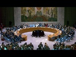 Replay Le Conseil de sécurité des Nations unies approuve le plan de paix de Trump pour Gaza