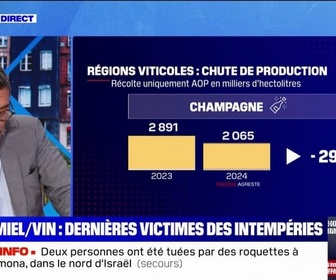 Replay La chronique éco - Miel et vin: mauvaises récoltes pour les agriculteurs français à cause des intempéries