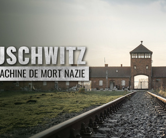 Replay Auschwitz, la machine de mort nazie