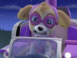 Replay Paw Patrol, la Pat'Patrouille - Un atterrissage forcé