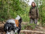 Replay Des chiens sur la piste des loups - GEO Reportage