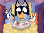 Replay Bluey - 17/10/2025