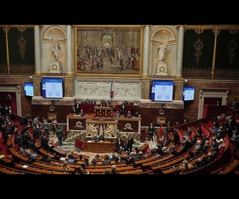 Replay Des adolescents ont-ils semé la pagaille à l'Assemblée nationale française ?