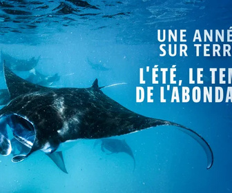 Une année sur terre replay